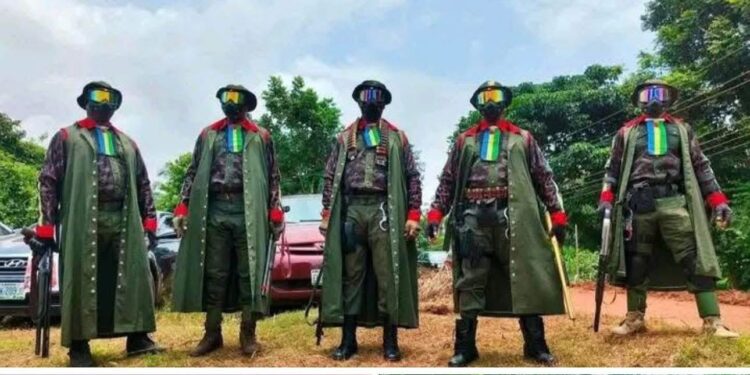 Enugu State New Forest Guard to receive N80,000 minimum pay