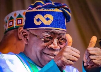 No Politician In Nigeria Has The Capacity To Defeat Tinubu In 2027 - Presidency 3 No Politician In Nigeria Has The Capacity To Defeat Tinubu In 2027 - Presidency