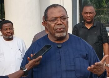 Abia 2027: “Alex Otti Is Like a Whole Cow Leg, Oppositions A‍re Like Ants” — Dr. Elelenta Nwambuisi