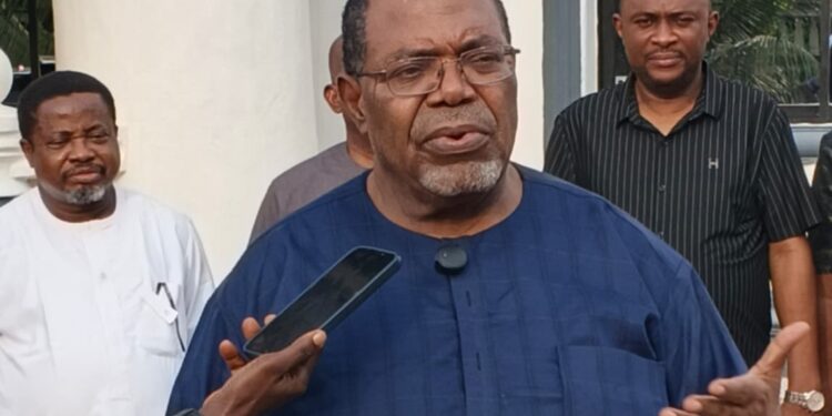 Abia 2027: “Alex Otti Is Like a Whole Cow Leg, Oppositions A‍re Like Ants” — Dr. Elelenta Nwambuisi