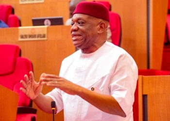 Senator Kalu Condemns Xenophobic Attacks on Nigerians in South Africa, Calls for Urgent Protection