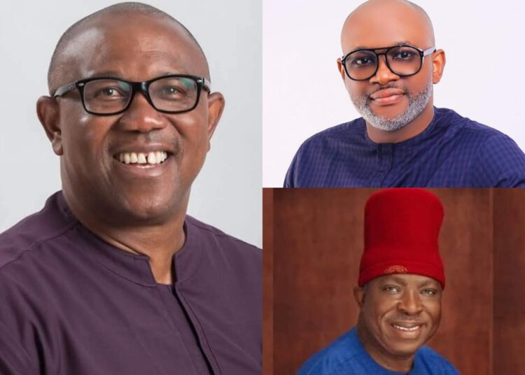 Intense Pressure Mounts on Peter Obi as New Faces Shake Anambra NDC Structure 1 Intense Pressure Mounts on Peter Obi as New Faces Shake Anambra NDC Structure