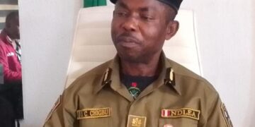 Abia NDLEA Adopts New Strategies Convicts 95 Suspects In 104 Cases