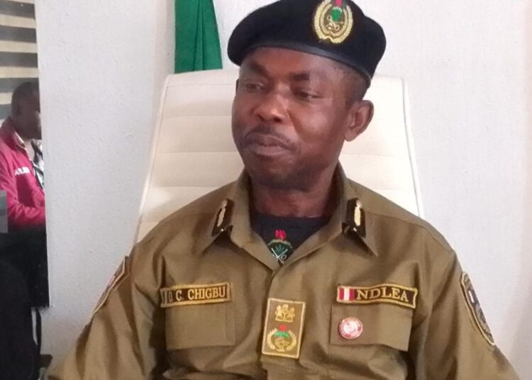 Abia NDLEA Adopts New Strategies Convicts 95 Suspects In 104 Cases