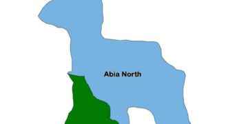 2027 Abia North: Those Who Opposed Chukwumerije at 73 Now Backing Bourdex at 74 - Cleric