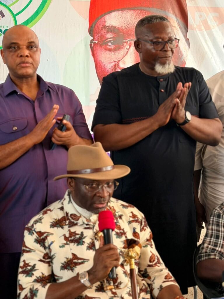 Deputy Speaker, Kalu Distributes 26 Transformers, 40,000 Solar Panels in Bende Light-Up Project