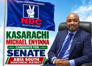 2027: My Senatorial Ambition Is Based on Equity, Not Desire to Spend 20 Years in Senate — Enyinna