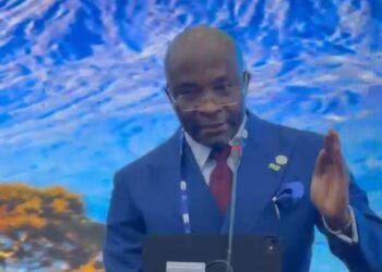 IPU: Deputy Speaker, Kalu Proposes Global Legislative Action to Tackle Climate Disasters 2 IPU: Deputy Speaker, Kalu Proposes Global Legislative Action to Tackle Climate Disasters
