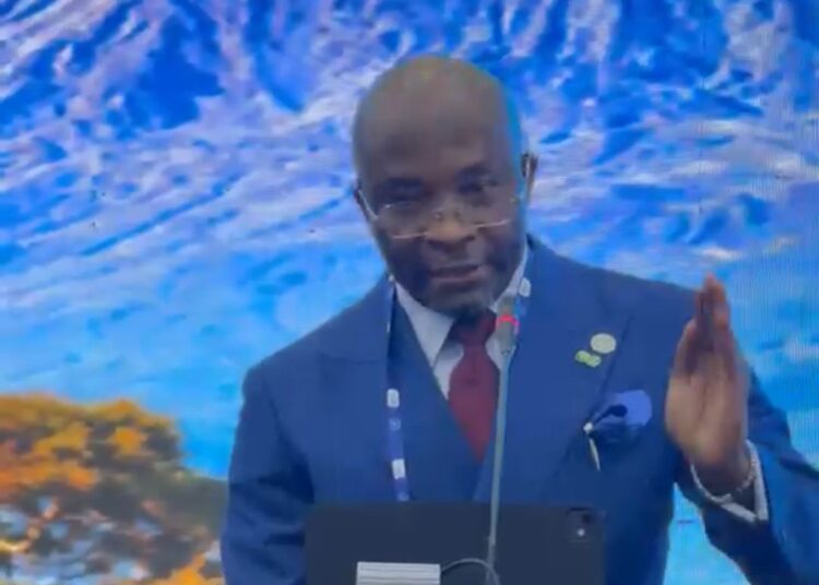IPU: Deputy Speaker, Kalu Proposes Global Legislative Action to Tackle Climate Disasters