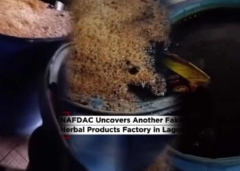 NAFDAC Uncovers Illegal Herbal Products Factory in Lagos, Says Fake Registration Number Was Used