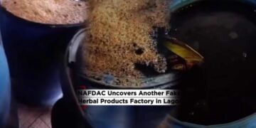 NAFDAC Uncovers Illegal Herbal Products Factory in Lagos, Says Fake Registration Number Was Used
