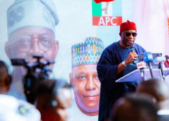 2027: Deputy Speaker Kalu Mobilises Support for Tinubu’s Re-election, Hails SEDC Act